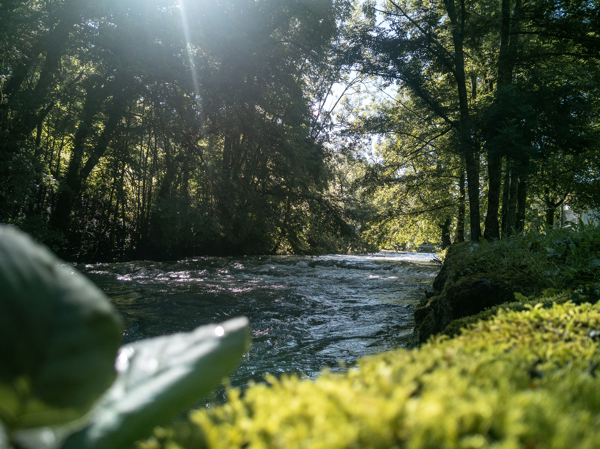 Nature au Moulin des Baronnies